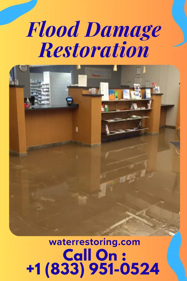 Flood Damage Restoration in Dupont, IN
