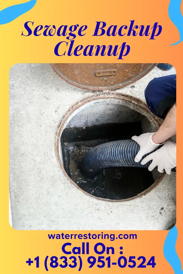 Sewage Backup Cleanup in Dupont, IN