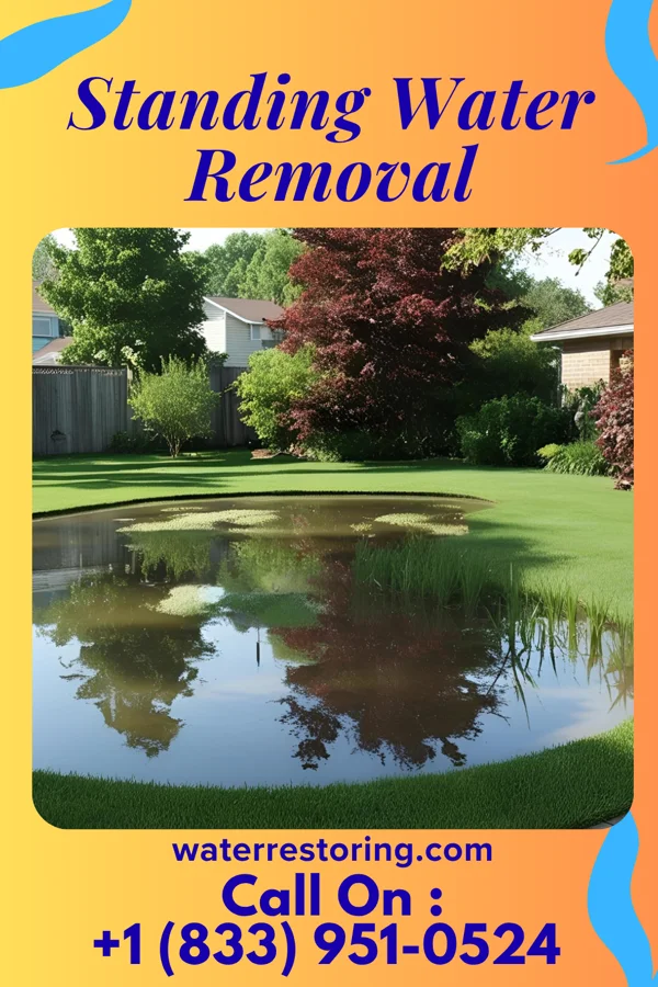 Standing Water Removal in Dupont, IN